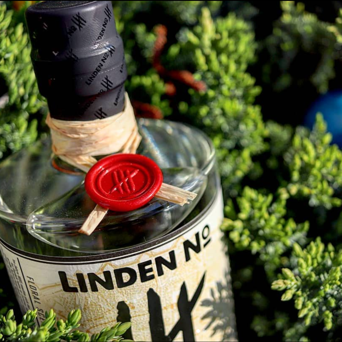 Linden No. 4 Dry Gin zwischen grünen Pflanzen
